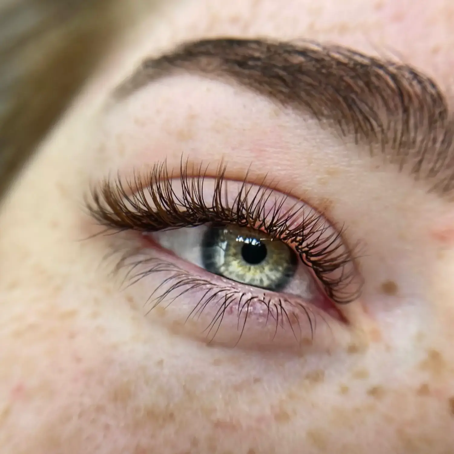 Lash Extensions 1:1 in Brown