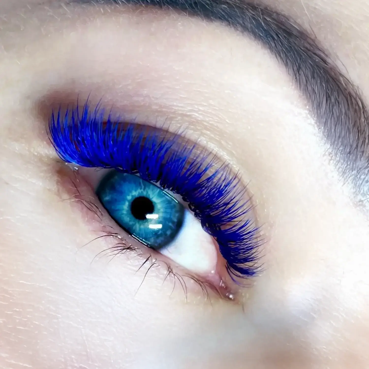 Blue Mega Volume Lashes
