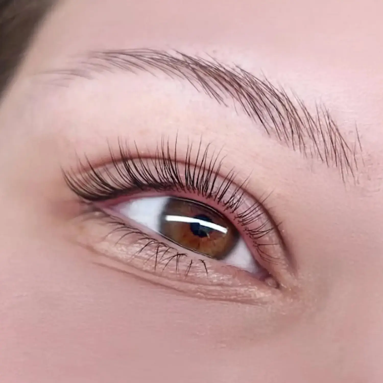 Lash lifting and lamination Lash lifting and lamination