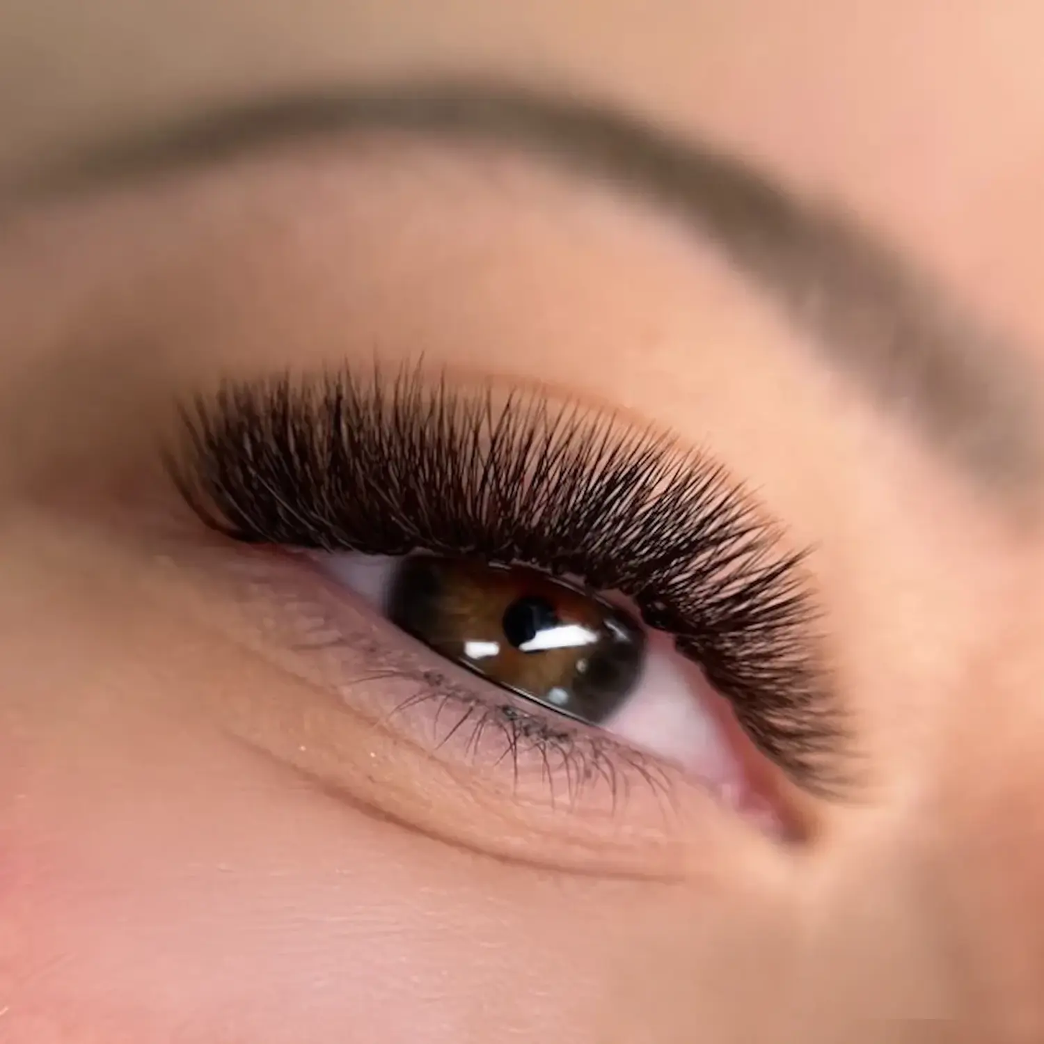 Brown Mega Volume Lashes