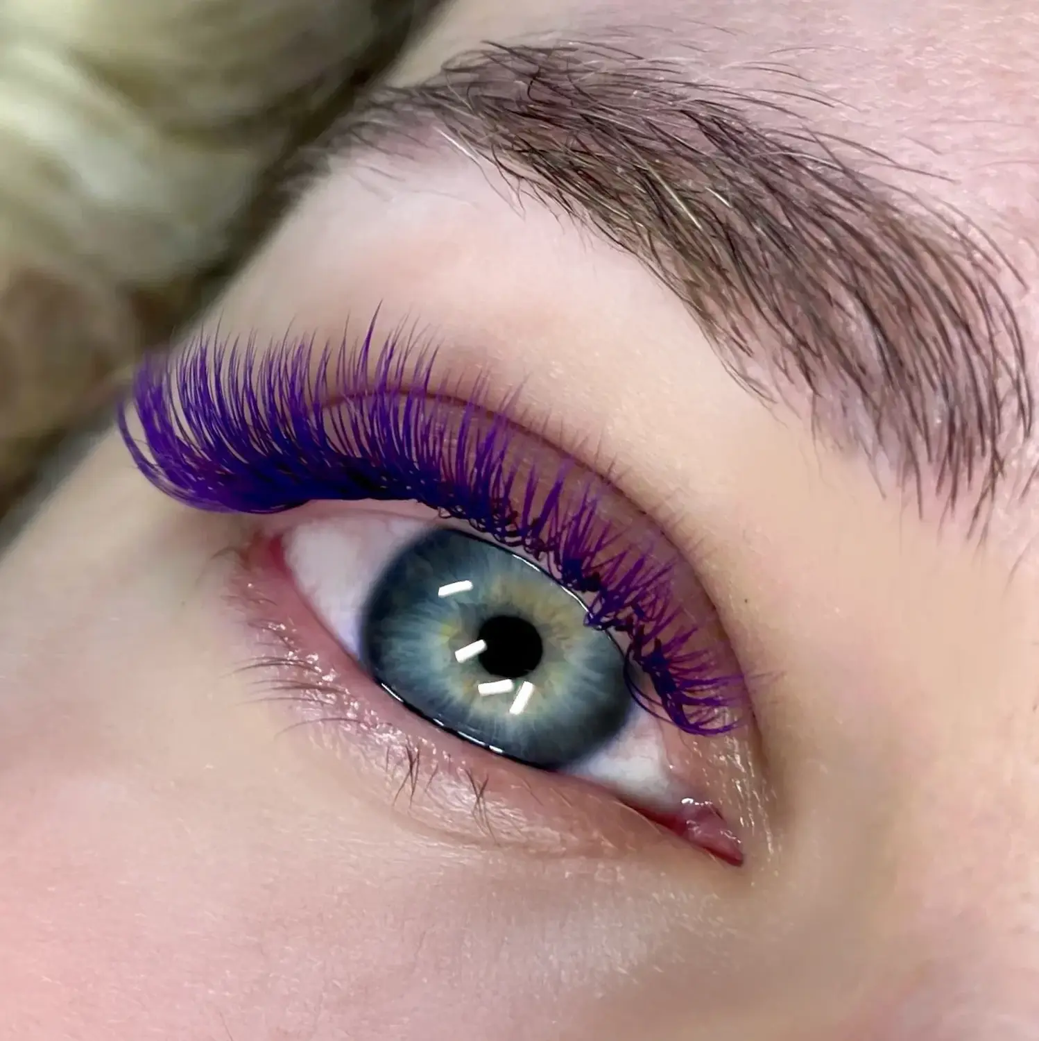 Purple Volume Lashes