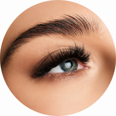 Eyelashes Eyelashes