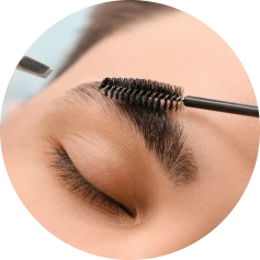 Brows Brows