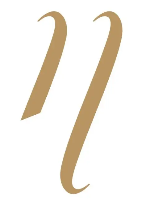 Noble Lashes logo N