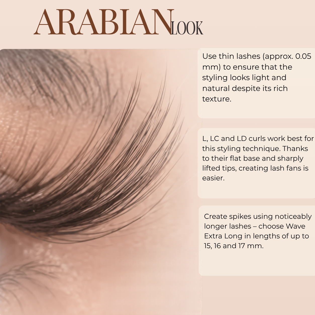  Arabian_look_2