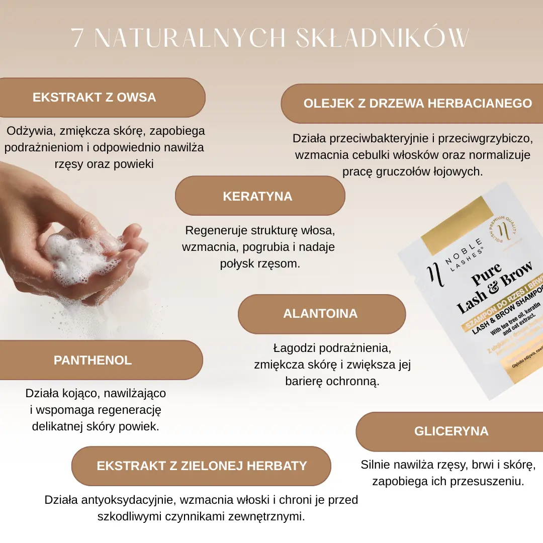 Infographic Pure Lash&Brow