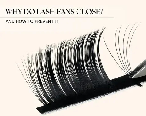 Why Do Lash Fans Fold? Causes, Mistakes and Tips for the Perfect Fan