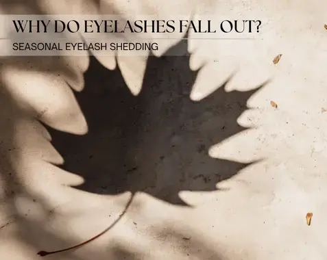 Why Do Lashes Fall Out? – Seasonal Lash Shedding