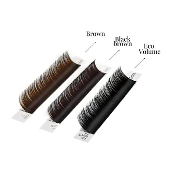 Brown Line Lashes Black Brown