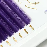 Color Line Lashes VIOLET 2