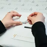 Lash Shelf palette 4