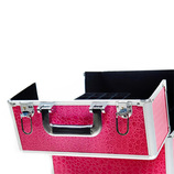 Pink Cosmetic Case 2