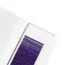 Color Line Lashes VIOLET