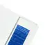 Color Line Lashes BLUE