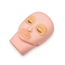 Cosmetic head with inserts for Cosmetic Trainings