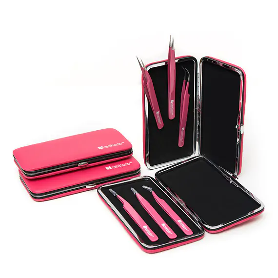 Magnetic case with set of tweezers