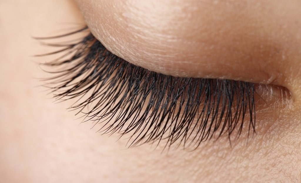 How long should human eyelashes be