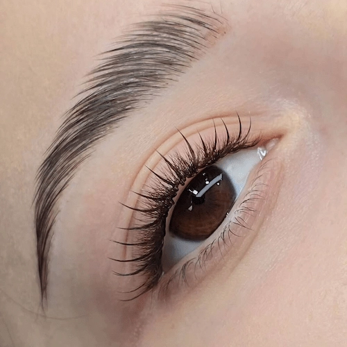 Brown lashes styling