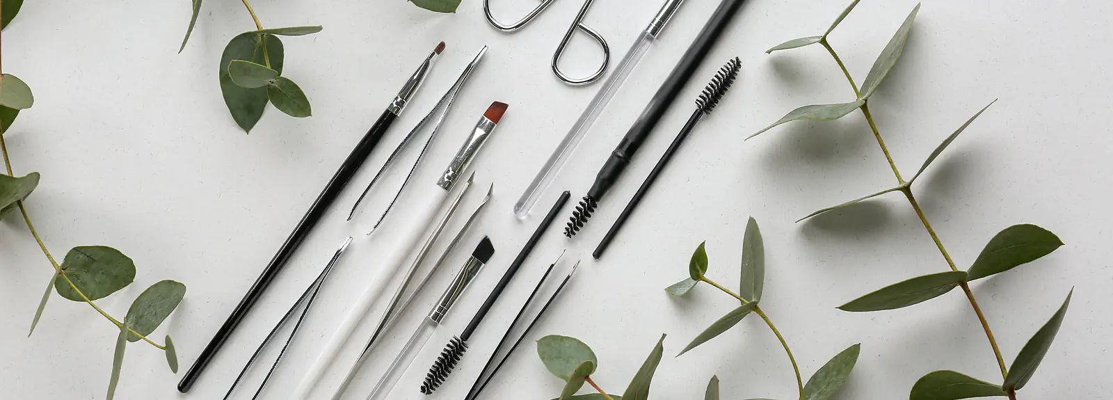 A few words about eyebrow reconstruction from Noble Lashes