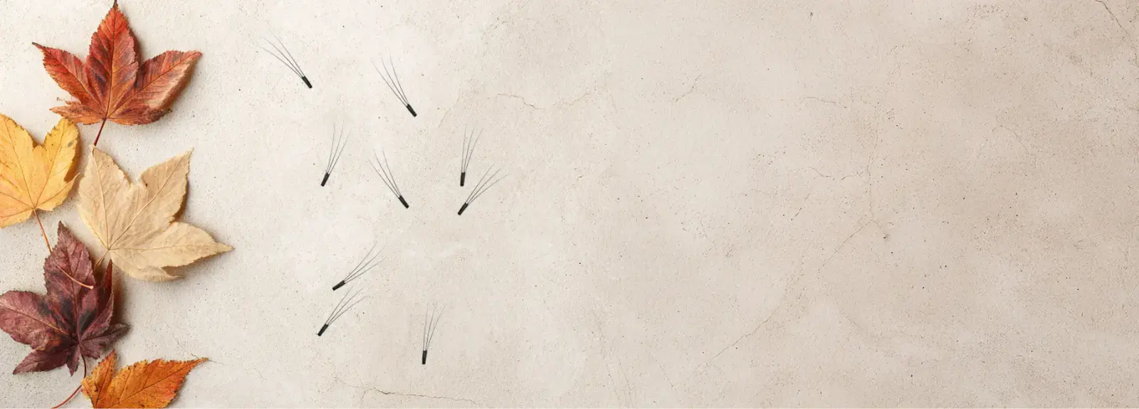 Why Do Lashes Fall Out? – Seasonal Lash Shedding