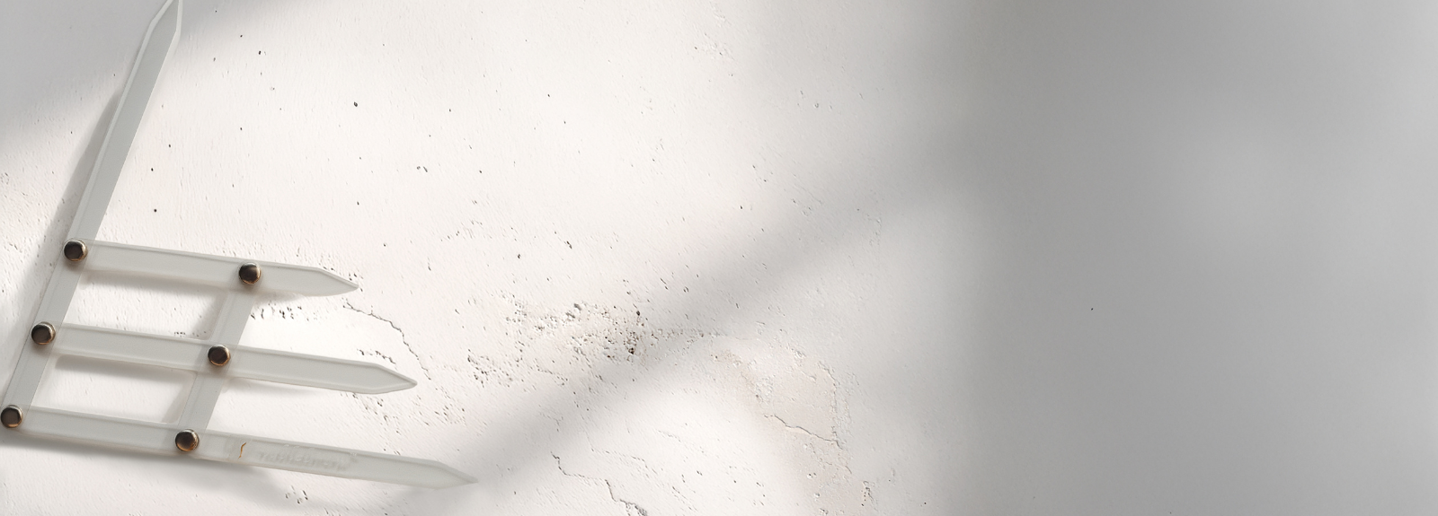 Eyebrow geometry – the foundation of perfect styling