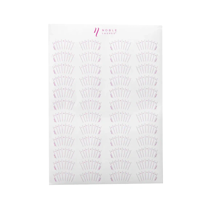 Professional Lash Map Stickers