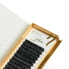 L Lashes 12 strips different lengths