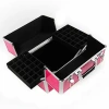 Premium Eyelash Extension Starter Kit with a Pink Cosmetic Case