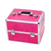 1:1 Eyelash Extension Starter Kit with a Pink Cosmetic Case
