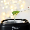 Wax warmer