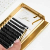 L Lashes 12 strips different lengths