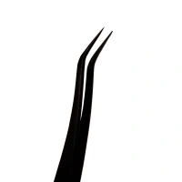 CURVED [eng]