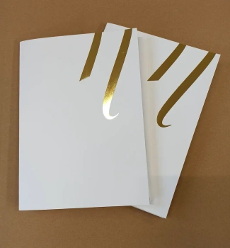 Paper Noble Lashes Folder