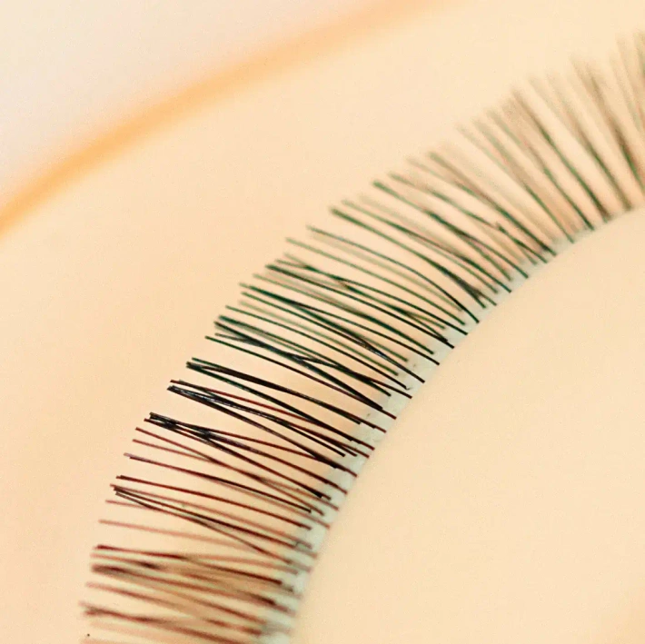 Cosmetic head with inserts for Cosmetic Trainings