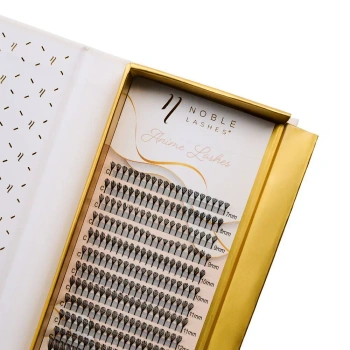Anime Lashes – Arrow Effect (Spire)