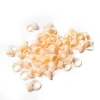 Ring for pigment 100PCS